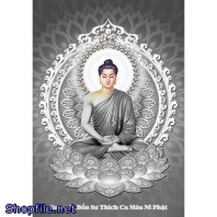 Bổn Sư Trắng Đen